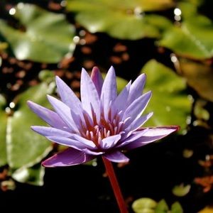 Meet your Posher, Belinda